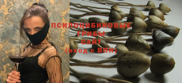 альфа пвп Няндома