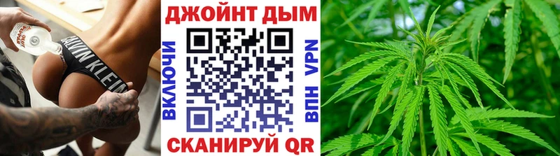 Конопля планчик Орлов